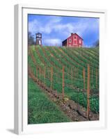 Red Barn Above Vineyard, Dry Creek Valley, California, USA-John Alves-Framed Premium Photographic Print