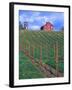 Red Barn Above Vineyard, Dry Creek Valley, California, USA-John Alves-Framed Premium Photographic Print