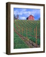 Red Barn Above Vineyard, Dry Creek Valley, California, USA-John Alves-Framed Photographic Print