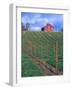 Red Barn Above Vineyard, Dry Creek Valley, California, USA-John Alves-Framed Photographic Print