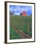 Red Barn Above Vineyard, Dry Creek Valley, California, USA-John Alves-Framed Photographic Print