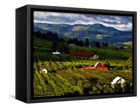 Red Barn Amid Orchards, Hood River, Oregon, USA-Jaynes Gallery-Framed Stretched Canvas