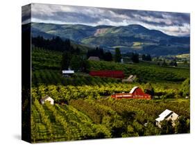 Red Barn Amid Orchards, Hood River, Oregon, USA-Jaynes Gallery-Stretched Canvas