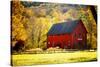 Red Barn and Autumn Foliage, Kent, Connecticut.-Sabine Jacobs-Stretched Canvas