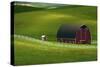 Red Barn and Manicured Fields in Moscow, Latah County, Idaho, USA-Michel Hersen-Stretched Canvas
