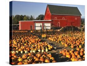 Red Barn and Pumpkin Display in Willamette Valley, Oregon, USA-Jaynes Gallery-Stretched Canvas