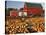 Red Barn and Pumpkin Display in Willamette Valley, Oregon, USA-Jaynes Gallery-Stretched Canvas