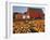 Red Barn and Pumpkin Display in Willamette Valley, Oregon, USA-Jaynes Gallery-Framed Premium Photographic Print