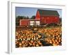 Red Barn and Pumpkin Display in Willamette Valley, Oregon, USA-Jaynes Gallery-Framed Photographic Print