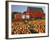 Red Barn and Pumpkin Display in Willamette Valley, Oregon, USA-Jaynes Gallery-Framed Photographic Print