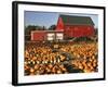 Red Barn and Pumpkin Display in Willamette Valley, Oregon, USA-Jaynes Gallery-Framed Photographic Print