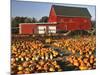 Red Barn and Pumpkin Display in Willamette Valley, Oregon, USA-Jaynes Gallery-Mounted Photographic Print