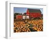 Red Barn and Pumpkin Display in Willamette Valley, Oregon, USA-Jaynes Gallery-Framed Photographic Print