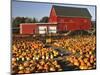 Red Barn and Pumpkin Display in Willamette Valley, Oregon, USA-Jaynes Gallery-Mounted Photographic Print