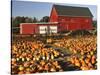 Red Barn and Pumpkin Display in Willamette Valley, Oregon, USA-Jaynes Gallery-Stretched Canvas