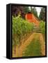 Red Barn at a Winery and Vineyard on Whidbey Island, Washington, USA-Richard Duval-Framed Stretched Canvas