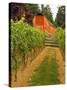 Red Barn at a Winery and Vineyard on Whidbey Island, Washington, USA-Richard Duval-Stretched Canvas
