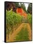 Red Barn at a Winery and Vineyard on Whidbey Island, Washington, USA-Richard Duval-Framed Stretched Canvas