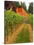 Red Barn at a Winery and Vineyard on Whidbey Island, Washington, USA-Richard Duval-Stretched Canvas