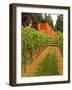 Red Barn at a Winery and Vineyard on Whidbey Island, Washington, USA-Richard Duval-Framed Photographic Print