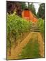 Red Barn at a Winery and Vineyard on Whidbey Island, Washington, USA-Richard Duval-Mounted Photographic Print