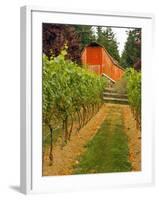 Red Barn at a Winery and Vineyard on Whidbey Island, Washington, USA-Richard Duval-Framed Photographic Print