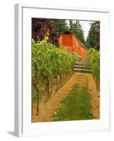 Red Barn at a Winery and Vineyard on Whidbey Island, Washington, USA-Richard Duval-Framed Photographic Print