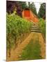 Red Barn at a Winery and Vineyard on Whidbey Island, Washington, USA-Richard Duval-Mounted Photographic Print