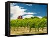 Red Barn at Va Piano Vineyards, Walla Walla, Washington, USA-Richard Duval-Framed Stretched Canvas