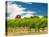 Red Barn at Va Piano Vineyards, Walla Walla, Washington, USA-Richard Duval-Stretched Canvas