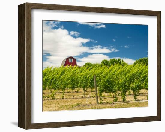 Red Barn at Va Piano Vineyards, Walla Walla, Washington, USA-Richard Duval-Framed Premium Photographic Print