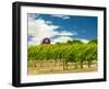 Red Barn at Va Piano Vineyards, Walla Walla, Washington, USA-Richard Duval-Framed Premium Photographic Print