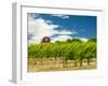 Red Barn at Va Piano Vineyards, Walla Walla, Washington, USA-Richard Duval-Framed Premium Photographic Print