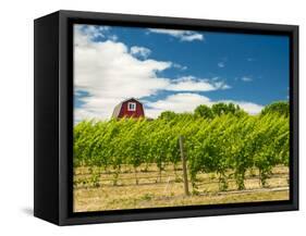 Red Barn at Va Piano Vineyards, Walla Walla, Washington, USA-Richard Duval-Framed Stretched Canvas