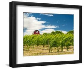 Red Barn at Va Piano Vineyards, Walla Walla, Washington, USA-Richard Duval-Framed Photographic Print