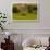 Red Barn, Hay Bales, Albion, Palouse Area, Washington, USA-Michel Hersen-Framed Photographic Print displayed on a wall