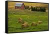 Red Barn, Hay Bales, Albion, Palouse Area, Washington, USA-Michel Hersen-Framed Stretched Canvas