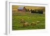 Red Barn, Hay Bales, Albion, Palouse Area, Washington, USA-Michel Hersen-Framed Photographic Print