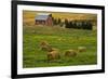 Red Barn, Hay Bales, Albion, Palouse Area, Washington, USA-Michel Hersen-Framed Photographic Print