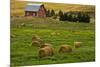 Red Barn, Hay Bales, Albion, Palouse Area, Washington, USA-Michel Hersen-Mounted Photographic Print