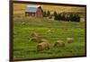 Red Barn, Hay Bales, Albion, Palouse Area, Washington, USA-Michel Hersen-Framed Photographic Print