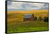 Red Barn, Hay Bales, Albion, Palouse Area, Washington, USA-Michel Hersen-Framed Stretched Canvas