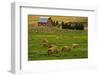 Red Barn, Hay Bales, Albion, Palouse Area, Washington, USA-Michel Hersen-Framed Photographic Print