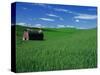 Red Barn in a Wheat Field-Darrell Gulin-Stretched Canvas