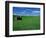 Red Barn in a Wheat Field-Darrell Gulin-Framed Photographic Print