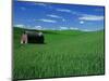 Red Barn in a Wheat Field-Darrell Gulin-Mounted Photographic Print