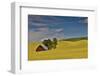 Red barn in canola field, Eastern Washington-Darrell Gulin-Framed Photographic Print