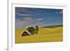 Red barn in canola field, Eastern Washington-Darrell Gulin-Framed Photographic Print