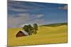 Red barn in canola field, Eastern Washington-Darrell Gulin-Mounted Photographic Print