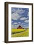 Red barn in canola field near Genesee, Idaho.-Darrell Gulin-Framed Photographic Print